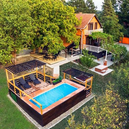 Villa Dijana - Pool, Spa, Outdoor Kitchen Beograd Bagian luar foto