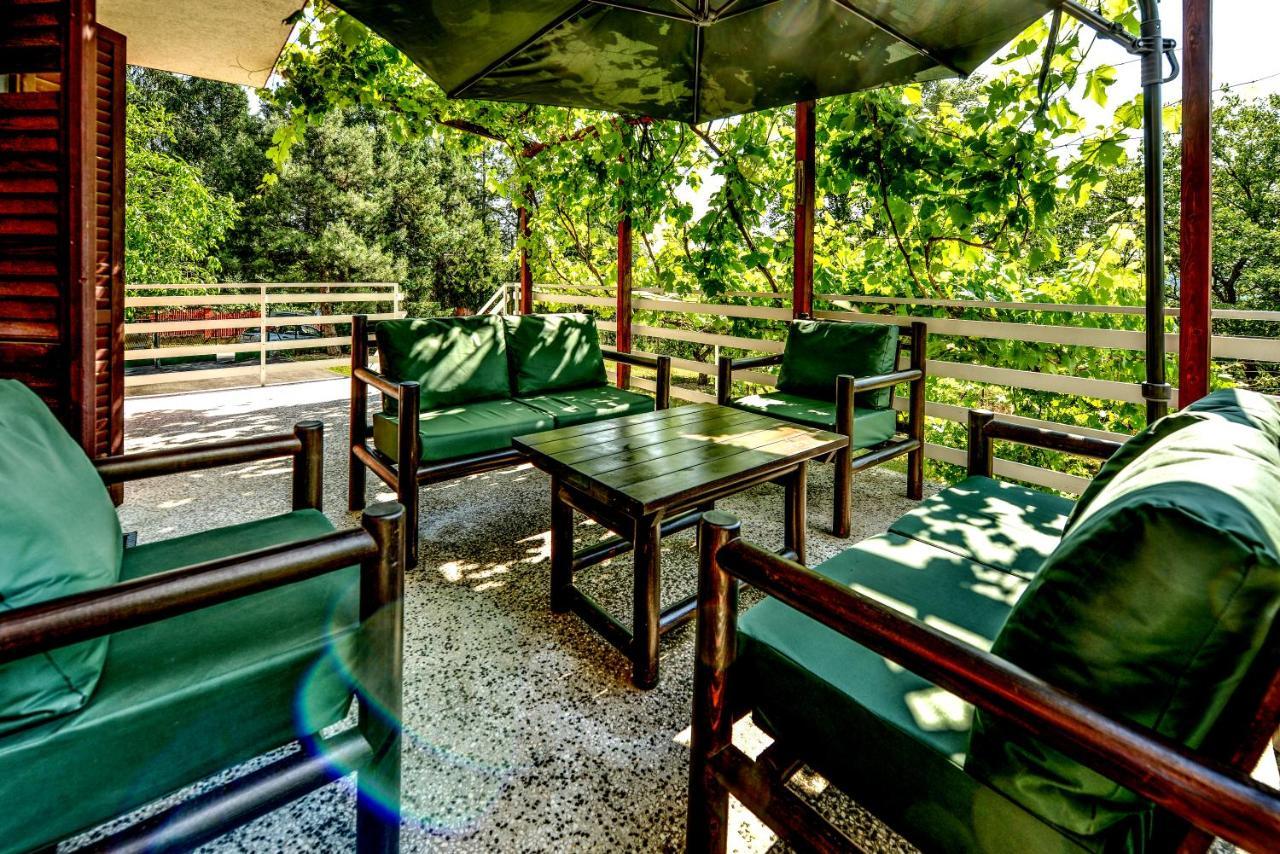 Villa Dijana - Pool, Spa, Outdoor Kitchen Beograd Bagian luar foto